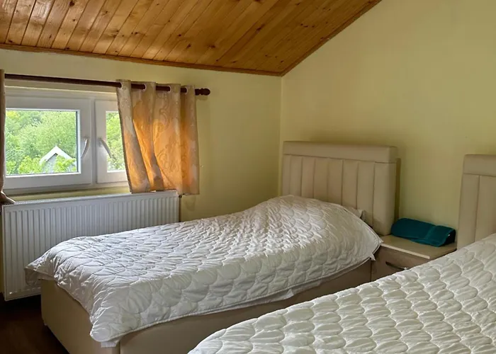Hostel Artjoni Fierze Firza