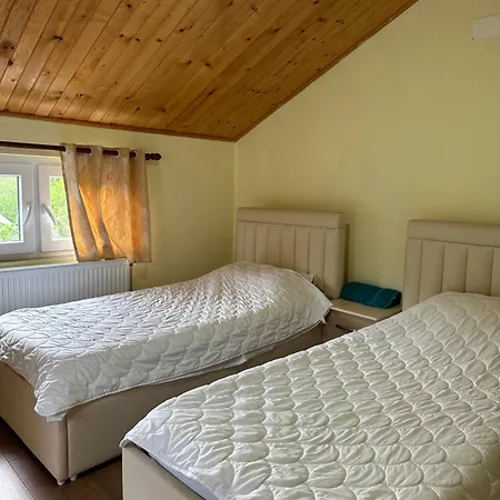 Hostel Artjoni Fierze Firza